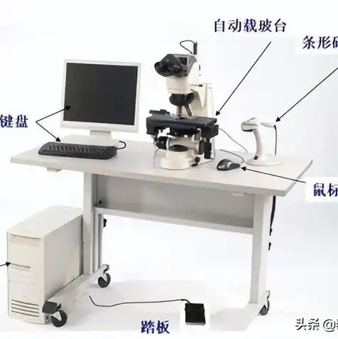 数据库主机是服务器地址吗，解析企业级IT架构，数据库主机、应用服务器、采集服务器与工作站的协同作用