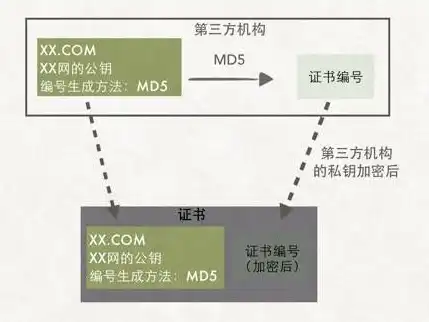 域名注册证书怎么查询系统的，详解域名注册证书查询系统，掌握域名安全与合规的关键途径