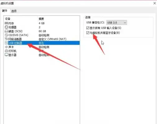 虚拟机共享本地磁盘怎么设置，深入解析虚拟机共享本地磁盘的设置方法及优化技巧