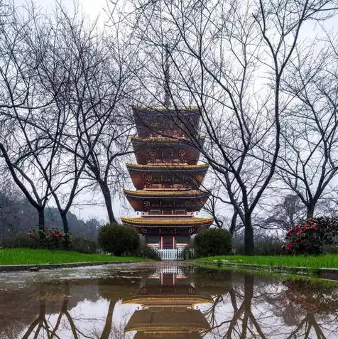 樱花在线服务器，樱花服务器免费视频播放器，畅享云端视听盛宴，开启全新观影体验