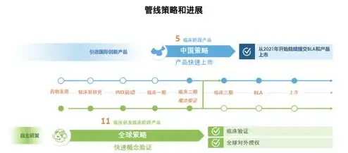 云服务器是谁的产业，揭秘云服务器产业，谁是幕后推手，市场格局如何演变？