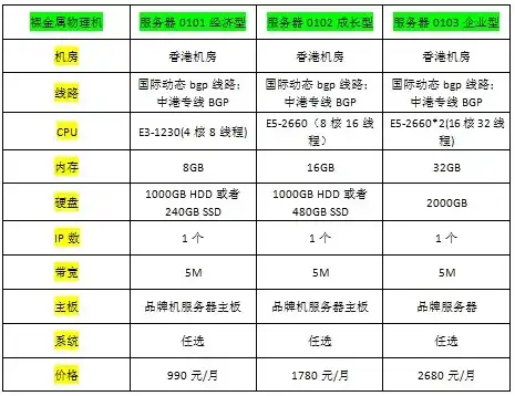 物理服务器租赁多少钱啊一个月，物理服务器租赁费用解析，不同配置、品牌、地区的价格差异及影响因素