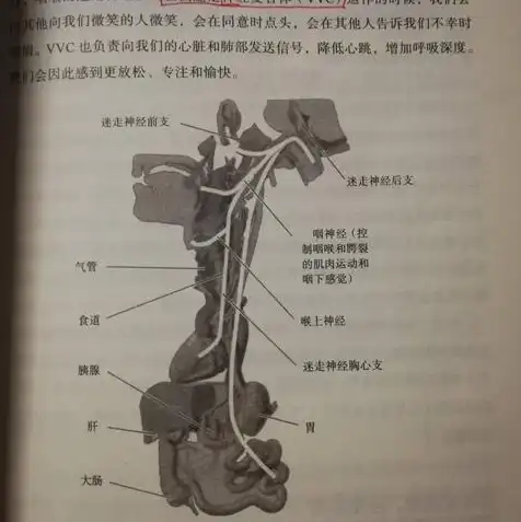 主机往虚拟机复制文件卡死机，主机向虚拟机复制文件时卡死故障分析及解决方案