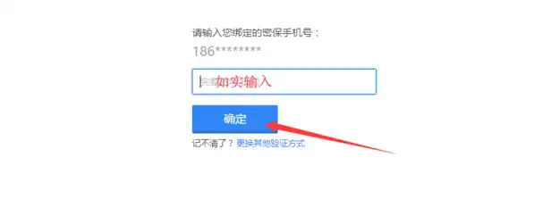 域名注册平台如何获得验证码，揭秘域名注册平台验证码获取机制，确保安全与便捷的注册体验