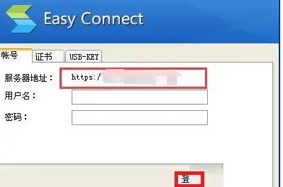 easyconnect服务器地址填啥，详细解析EasyConnect服务器地址填写方法及注意事项