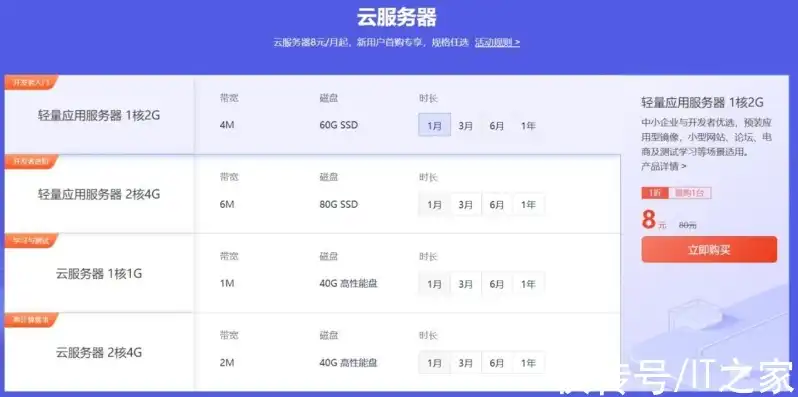 云服务器一个月9元，云端新选择，仅需9元，轻松开启您的云服务器之旅