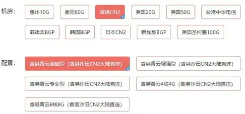 云服务器购买跟租用，云服务器租用与购买，成本效益分析及决策指南