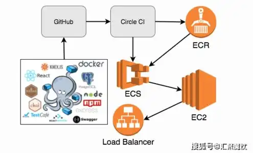 vps主机价格，VPS主机价格解析，性价比之选，投资与回报的权衡之道