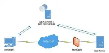 云服务器连接远程软件怎么用，深入解析，云服务器连接远程软件的使用方法与技巧详解