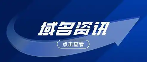 域名注册信息有哪些内容要求，全面解析域名注册信息，了解域名背后的秘密