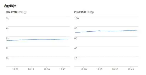 云服务器2核4g什么意思，揭秘云服务器2核4G，相当于什么CPU性能及选购指南