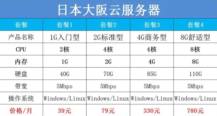 日本租个服务器，日本服务器租用价格解析，一年费用及性价比分析