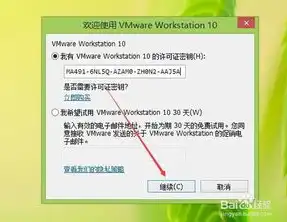 vmware10虚拟机激活码，VMware 15虚拟机激活攻略，轻松破解激活码，畅享高效虚拟化体验