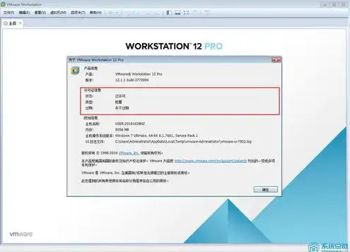 vmware10虚拟机激活码，VMware 15虚拟机激活攻略，轻松破解激活码，畅享高效虚拟化体验