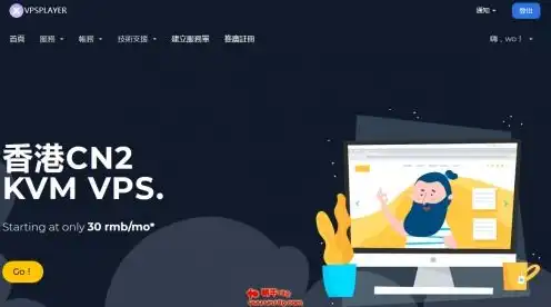 vps主机测评，深入解析VPS主机测评，性能、稳定性与性价比全方位对比