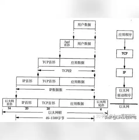 主机服务器使用方法，主机服务器使用方法详解，从入门到精通