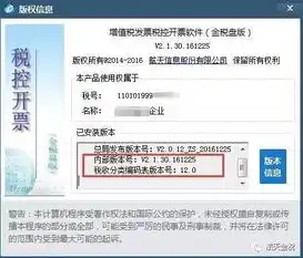 服务器开票属于什么类别，服务器开票编码类型详解，税务分类与操作规范