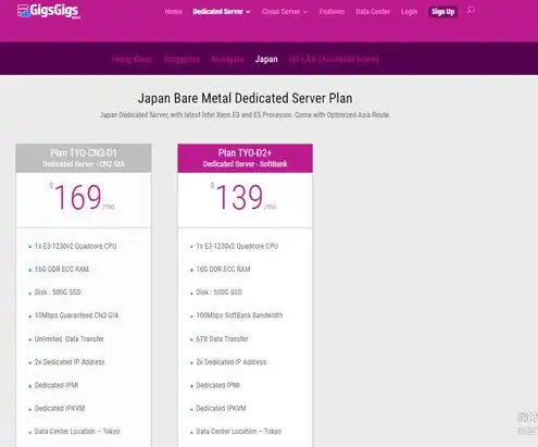 日本租个服务器多少钱，日本租用服务器的价格解析，成本、优势及选择指南