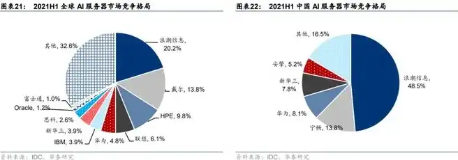 国产服务器生产商，2023年中国国产服务器供应商全景分析，行业领军者与潜力股大盘点