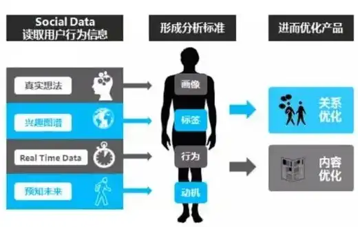 9.0服务器人口普查，9.0服务器人口普查，揭秘正式服的多元生态与玩家画像