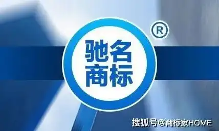 公司域名注册商标怎么办，公司域名注册商标，全方位解析及应对策略