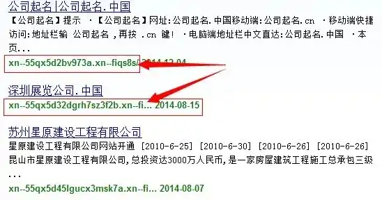 查询域名注册时间怎么查询不到，如何查询域名注册时间，揭秘查询不到的真相及解决方案