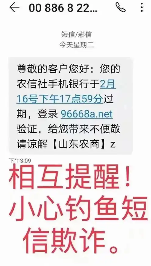 注册一个域名需要多少钱，注册域名的重要性及费用解析，掌握域名，开启网络新篇章