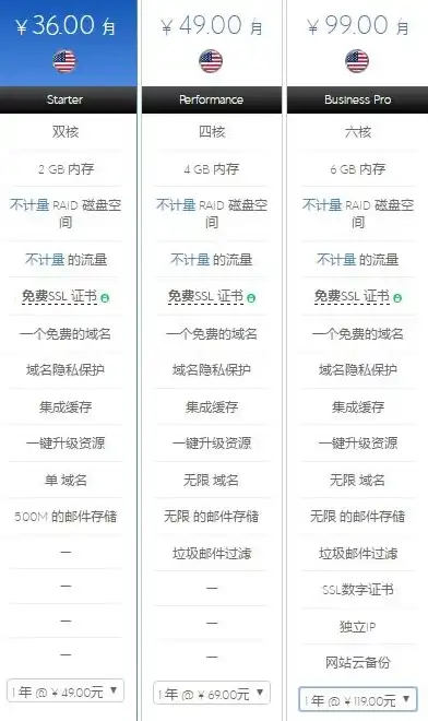 美国云主机租用多少钱，美国云主机租用成本解析，价格、性能与性价比全面对比