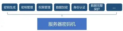 服务器密码机的用处有哪些，揭秘服务器密码机，保障信息安全的关键守护者