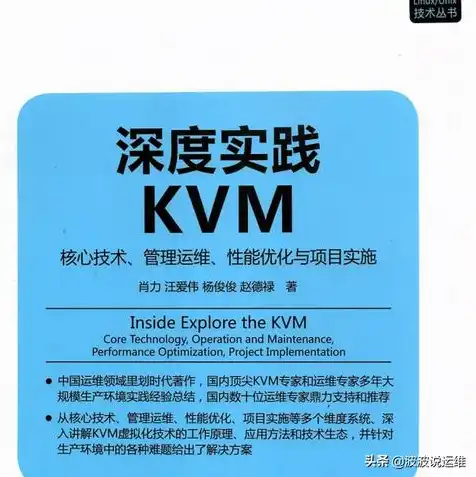 kvm虚拟机以哪种方式运行，深入解析KVM虚拟机的运行方式与性能优化策略