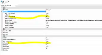 asp服务器配置，ASP服务器配置指南，从入门到精通
