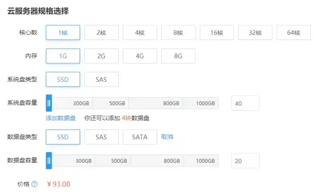 云服务器怎么选择配置，云服务器选购指南，配置选择与性能优化全解析