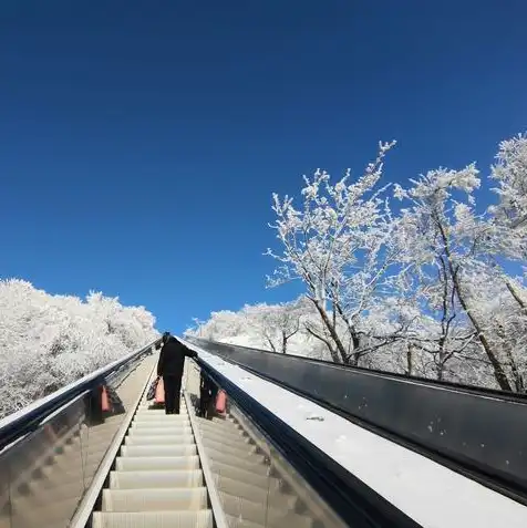 免费云服务器永久，免费云服务器永久使用攻略，揭秘高效稳定的云端之旅