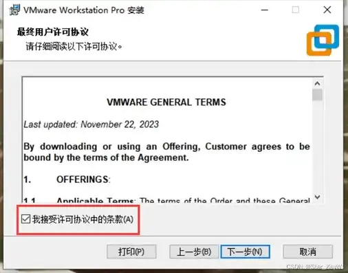 vmware虚拟机破解安装，深入解析VMware虚拟机破解安装，操作指南与风险提示