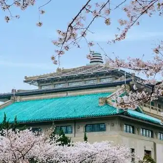 日本樱花和樱桃花的区别，揭秘日本樱桃花与樱花的异同，探寻云南樱花之美