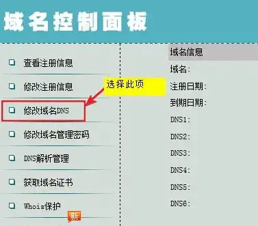 中国域名注册局官网，深入解析中国域名注册局官网，一站式域名注册与管理的权威平台