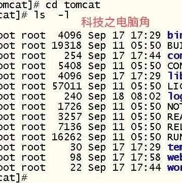 java项目部署云服务器，Java项目部署云服务器全攻略，从环境搭建到性能优化