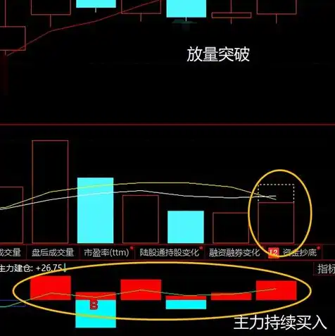 最便宜的云服务器国内是哪家公司，揭秘，国内最便宜的云服务器供应商哪家强？