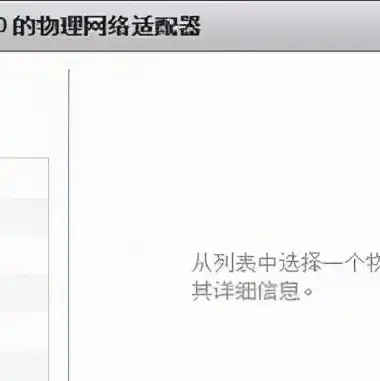 vmware虚拟机连无线网卡，VMware虚拟机连接无线网络的详细教程及技巧解析