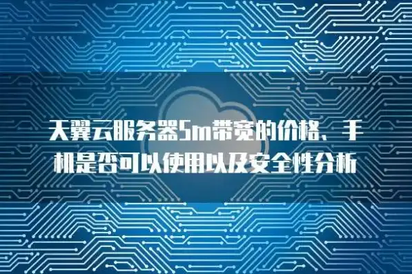 云服务器5m宽带多少钱，云服务器5M宽带价格解析，性价比之选，企业上云必备