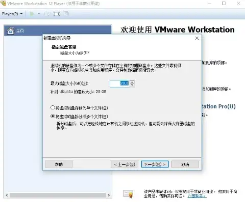 vmware虚拟机2021破解版，破解版VMware虚拟机2021防闪退教程，稳定运行，告别卡顿