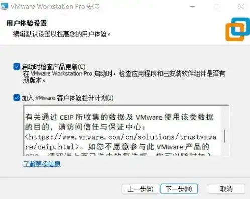 vmware虚拟机2021破解版，破解版VMware虚拟机2021防闪退教程，稳定运行，告别卡顿