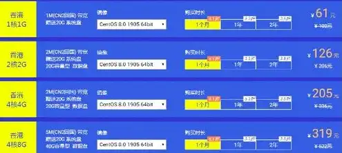 云服务器多少钱一个月，云服务器性价比分析，不同品牌、配置、价格全面解析，月租仅需XXX元！