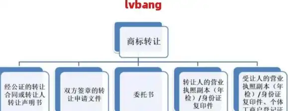 公司域名注册商标流程，全方位解析，公司域名注册商标流程全攻略