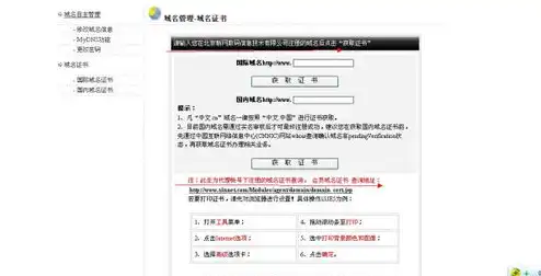 怎么查询域名注册历史，如何查询域名注册历史，揭秘域名注册背后的历史与隐私