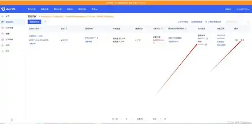 autodl云服务器租用，深度解析，Autodl云服务器租用，开启高效智能时代