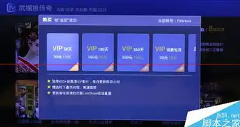 vivp云服务登录，探索 Vivp 云服务，登录体验与功能解析