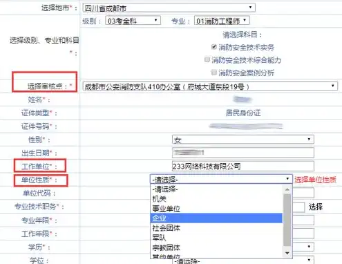 vps hostname，VPS主机名填写指南，如何选择合适的VPS主机名并优化性能