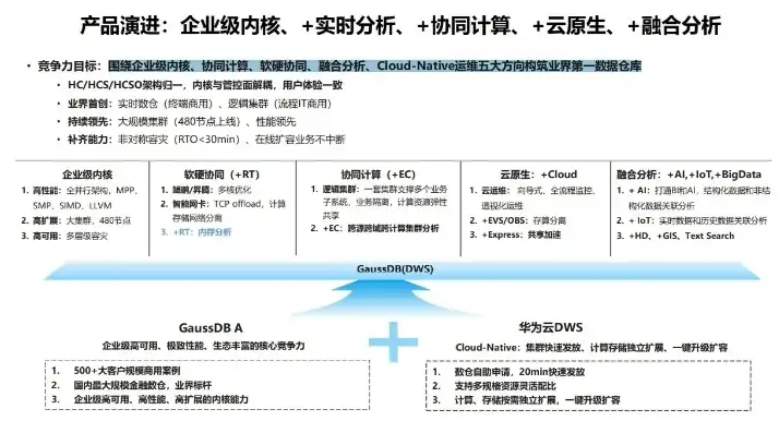 云主机 checkcabl，云主机Checkcabl深度解析，功能、优势与实际应用案例