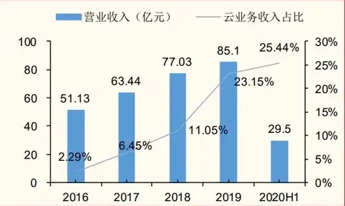 云服务属于哪个板块的股票，云服务板块股票分析，投资机遇与风险解析